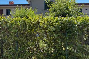 Splendido villino a schiera