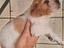 Immagine 1