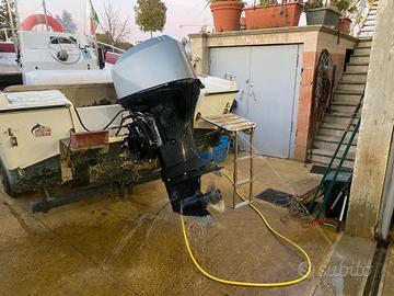 Barca gobbi con motore mariner