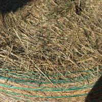 Fieno di prato stabile