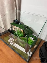 acquario