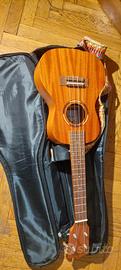 Ukulele 