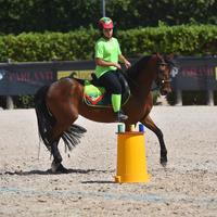 Doppio pony 148 cm-Mounted Games e salto ostacoli