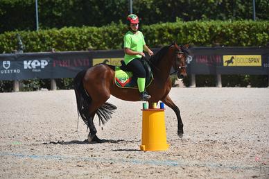 Doppio pony 148 cm-Mounted Games e salto ostacoli