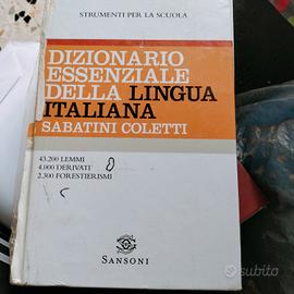 dizionario 