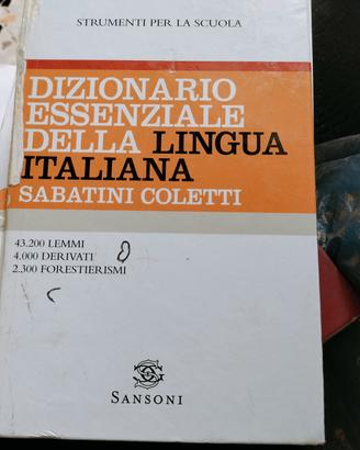 dizionario 