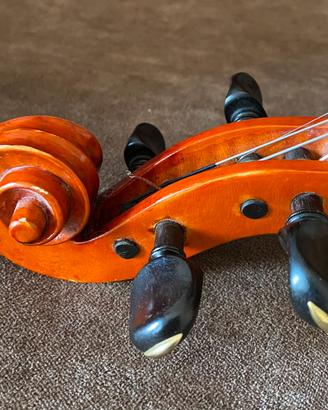 Violino