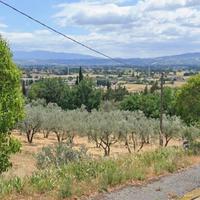 Terreno edificabile Spello