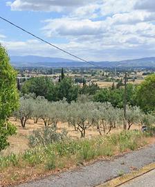Terreno edificabile Spello