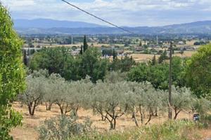 Terreno edificabile Spello