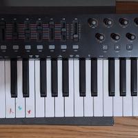 TASTIERA MIDI M - AUDIO OXIGEN 49