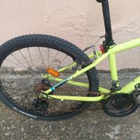 MTB 24