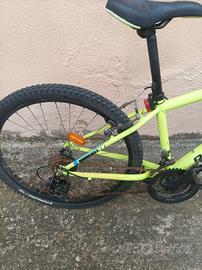 MTB 24