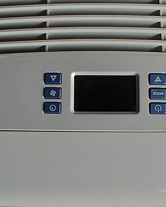 CONDIZIONATORE PORTATILE DELONGHI -PINGUINO