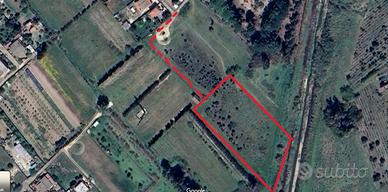 Terreno agricolo Elmas