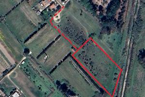 Terreno agricolo Elmas