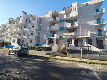 Trilocale con solarium