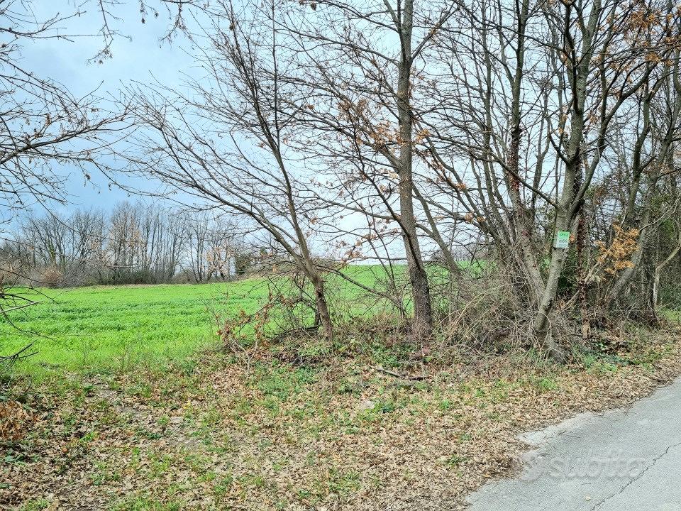 Terreni agricoli di 9000 mq - Altro