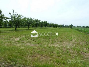 Rif.RT644| terreno agricolo volpago del montello