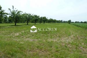 Rif.RT644| terreno agricolo volpago del montello