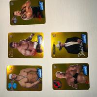 CARTE COLLEZIONE WRESTLING WWE RAW ITA 2004