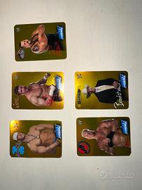CARTE COLLEZIONE WRESTLING WWE RAW ITA 2004