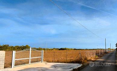 Terreno Agliadò 18300mq