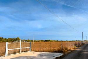 Terreno Agliadò 18300mq