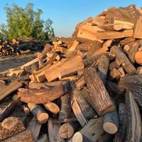 legna da ardere di (quercia,cerro, carpino nero)