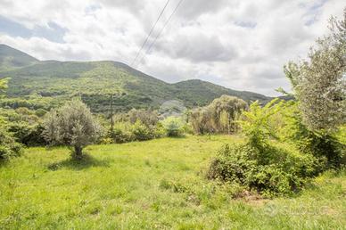 TER. AGRICOLO A PALOMBARA SABINA