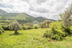 TER. AGRICOLO A PALOMBARA SABINA