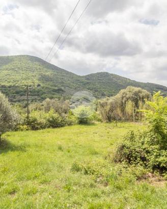 TER. AGRICOLO A PALOMBARA SABINA