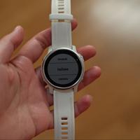 Garmin 6S orologio