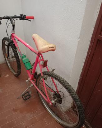 Bici donna