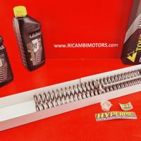 MOLLE PROGRESSIVE FORCELLA BMW F800GS