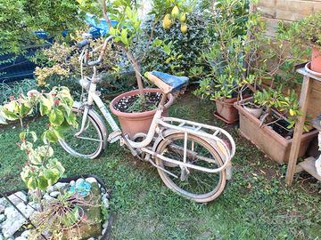 Bicicletta Graziella originale