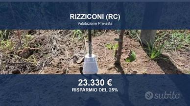 Immobile in asta di 6650 m² a Rizziconi