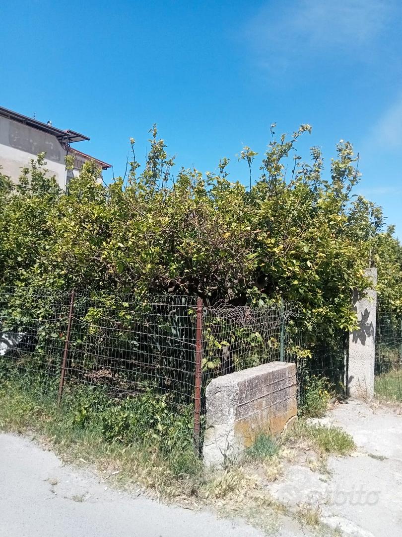 Terreno agricolo - Vista 3