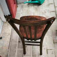 Sedia Luterma Anno 50 