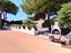 Immagine 10
