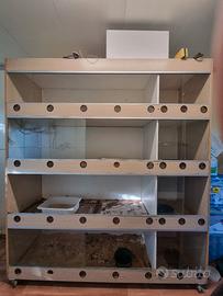 techa , teche , rack , 