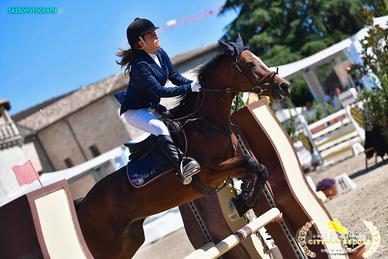 Pony 2010 da competizione