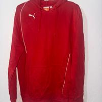Felpa con cappuccio Puma Liga Casuals Hoody