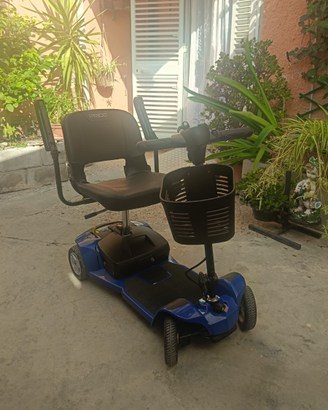 Motorino deambulatore