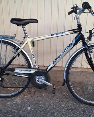Bici da passeggio uomo ruote  28