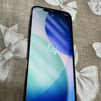 Iphone 12 pro max 256 gb