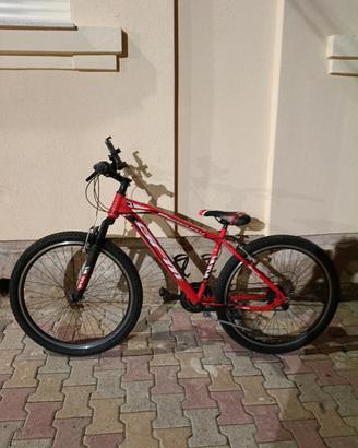bici gfm