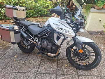 TRIUMPH TIGER 800 XRX
