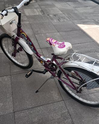 bicicletta 