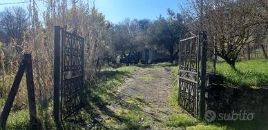 Terreno agricolo